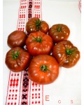 Семена томата Адора - коллекционный сорт