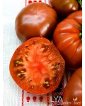 Семена томата Адора - коллекционный сорт
