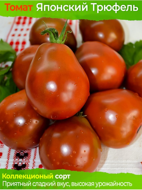 Семена томата Японский Трюфель - коллекционный сорт