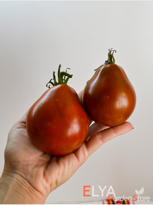 Семена томата Японский Трюфель - коллекционный сорт