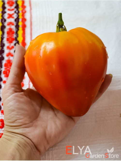 Семена томата Янтарный Барон - коллекционный сорт