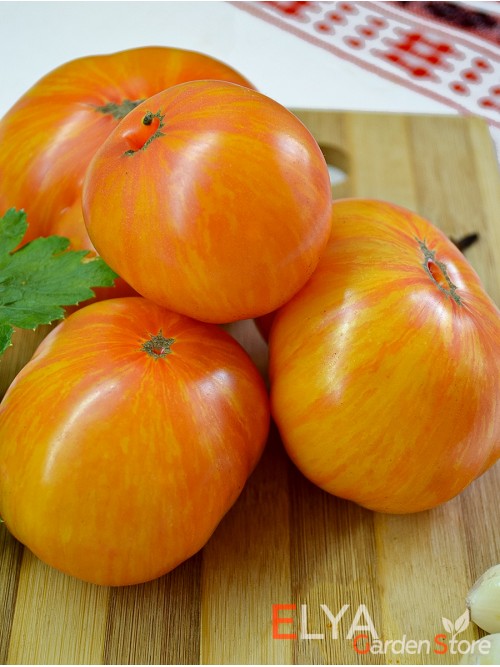 Семена томата DSA (гном) - коллекционный сорт