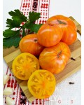 Семена томата DSA (гном) - коллекционный сорт
