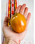 Семена томата Глаз Тигра (гном) - коллекционный сорт
