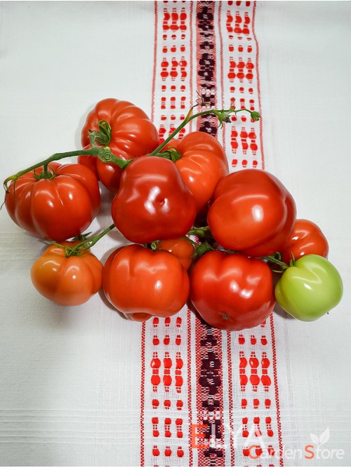 Семена томата Июньский - коллекционный сорт