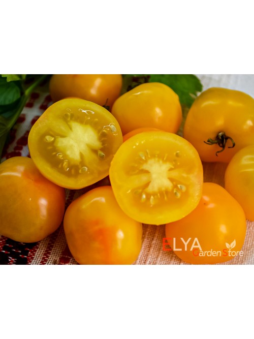 Семена томата Июньский Желтый - коллекционный сорт
