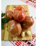 Семена томата Грааль (гном) - коллекционный сорт