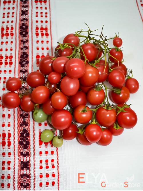 Семена томата Корейский Стелющийся - коллекционный сорт