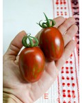 Семена томата Оливетта Полосатая - коллекционный сорт