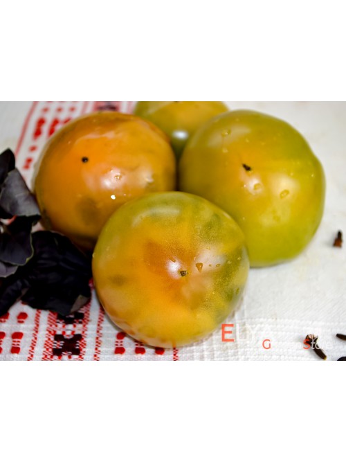 Семена томата Парфайт (гном) - коллекционный сорт
