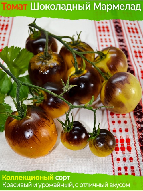 Семена томата Шоколадный Мармелад - коллекционный сорт