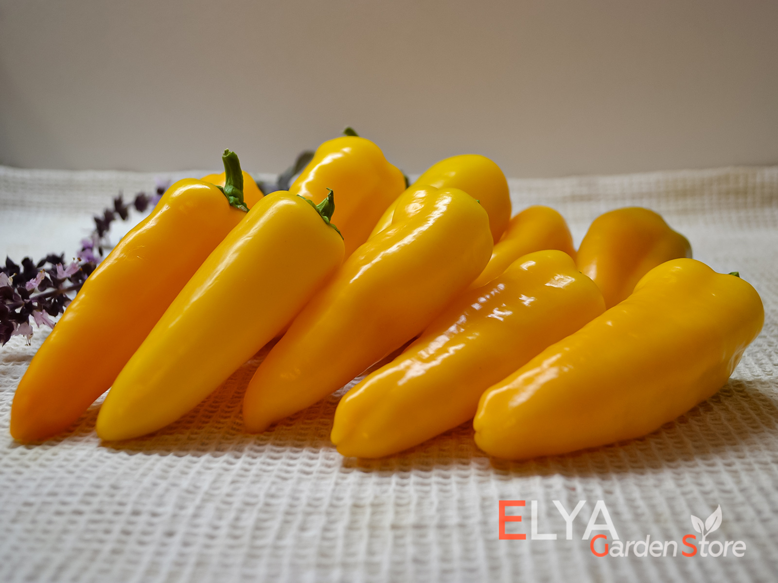 Сладкий перец Мини Желтый - коллекционный сорт - фото Elya Garden