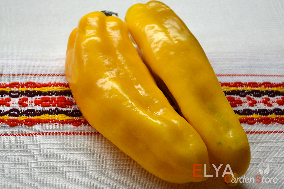 Сладкий перец Корно ди Торро Желтый - вкусный крупноплодный коллекционный сорт. Семена в магазине Elya Garden