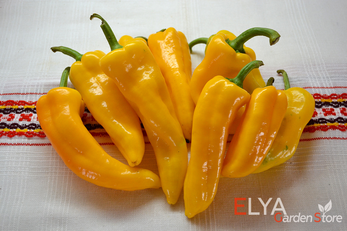 Семена сладкого перца Рамиро Желтый - высокоурожайны и очень вкусный коллекционный сорт - фото Elya Garden