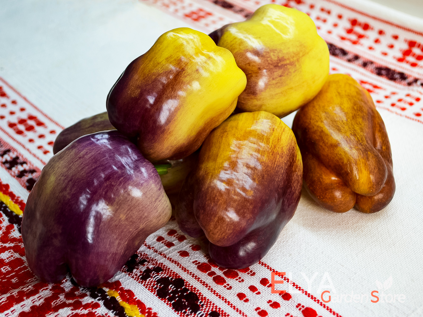 Перец Фиолетово-золотой Гвоздь - урожайный и сладкий с интересной окраской - фото магазина семян Elya Garden