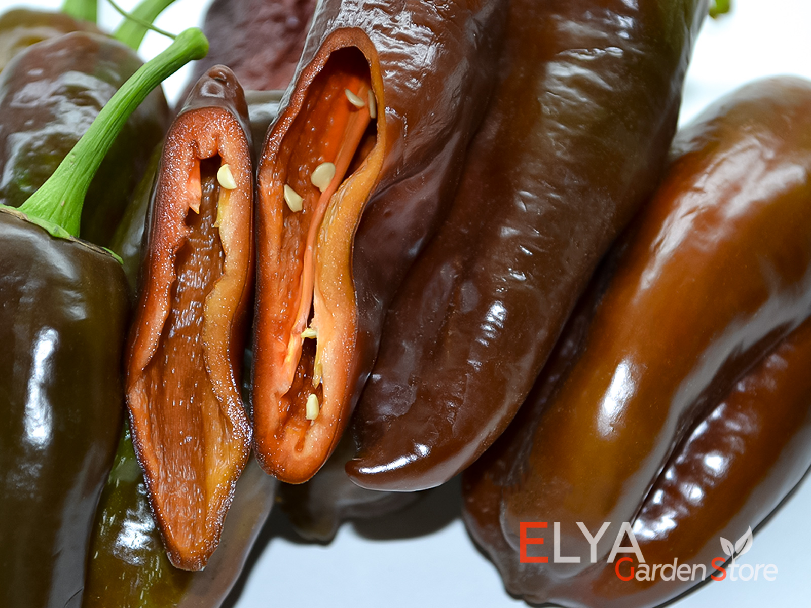 Коллекционный сорт сладкого перца Шоколадные Георгески - насыщенный cdrec? сочный - семена в магазине Elya Garden 