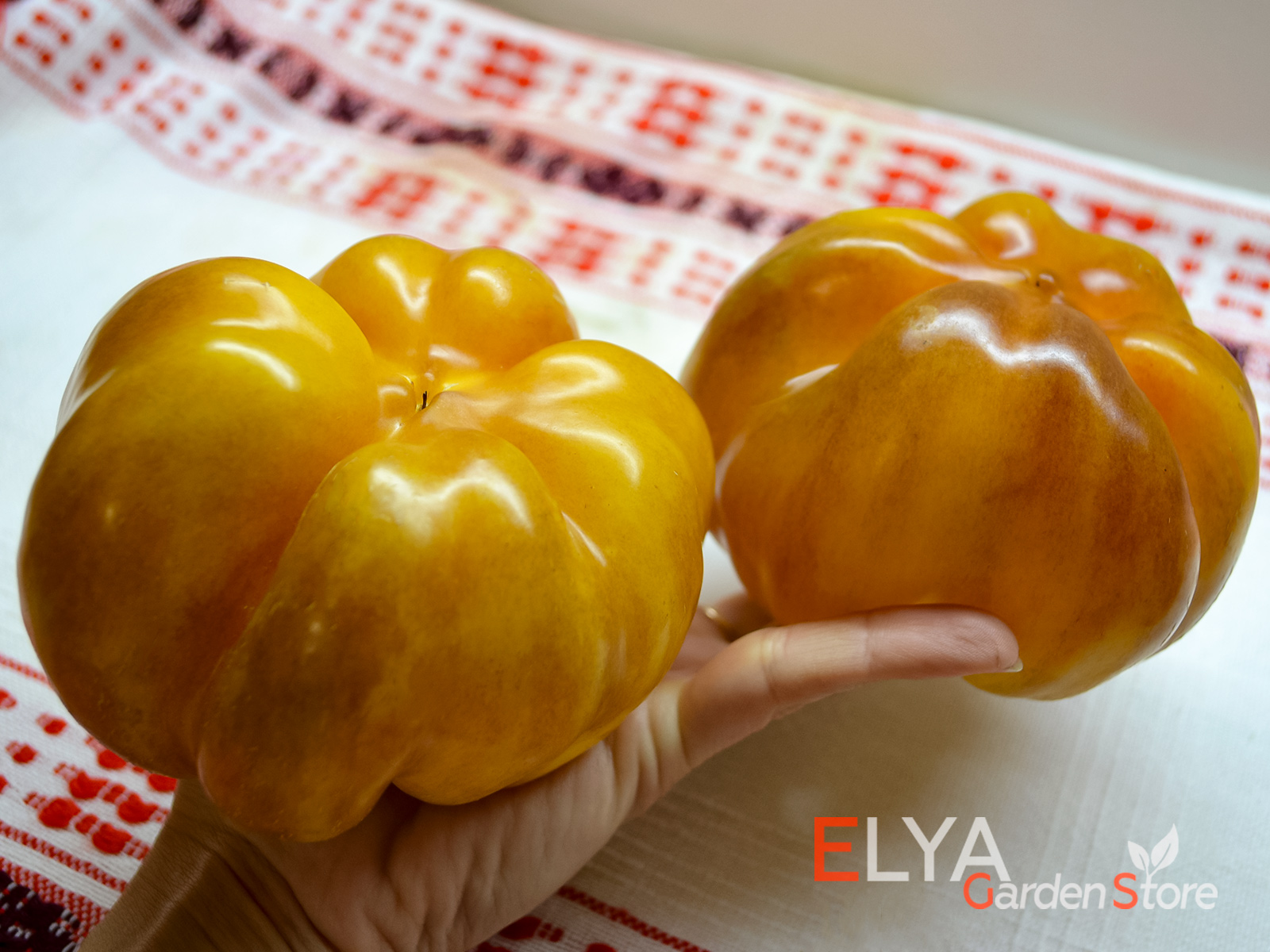 Топепо Желтый - коллекционный сорт сладкого перца, крупный, сладкий, урожайный - фото магазина семян Elya Garden 