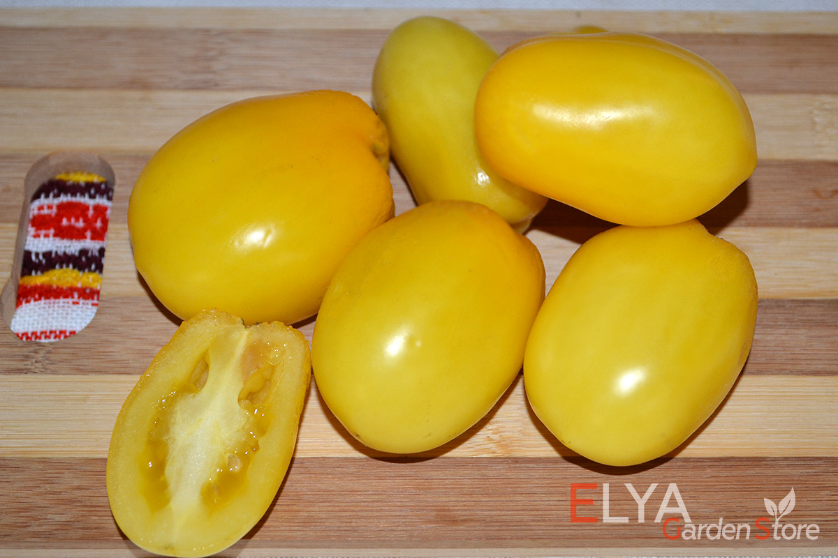 Семена томата Сливка Бендрика Желтая - отличный коллекционный сорт, урожайный, вкусный, универсального назначения - фото магазина Elya Garden