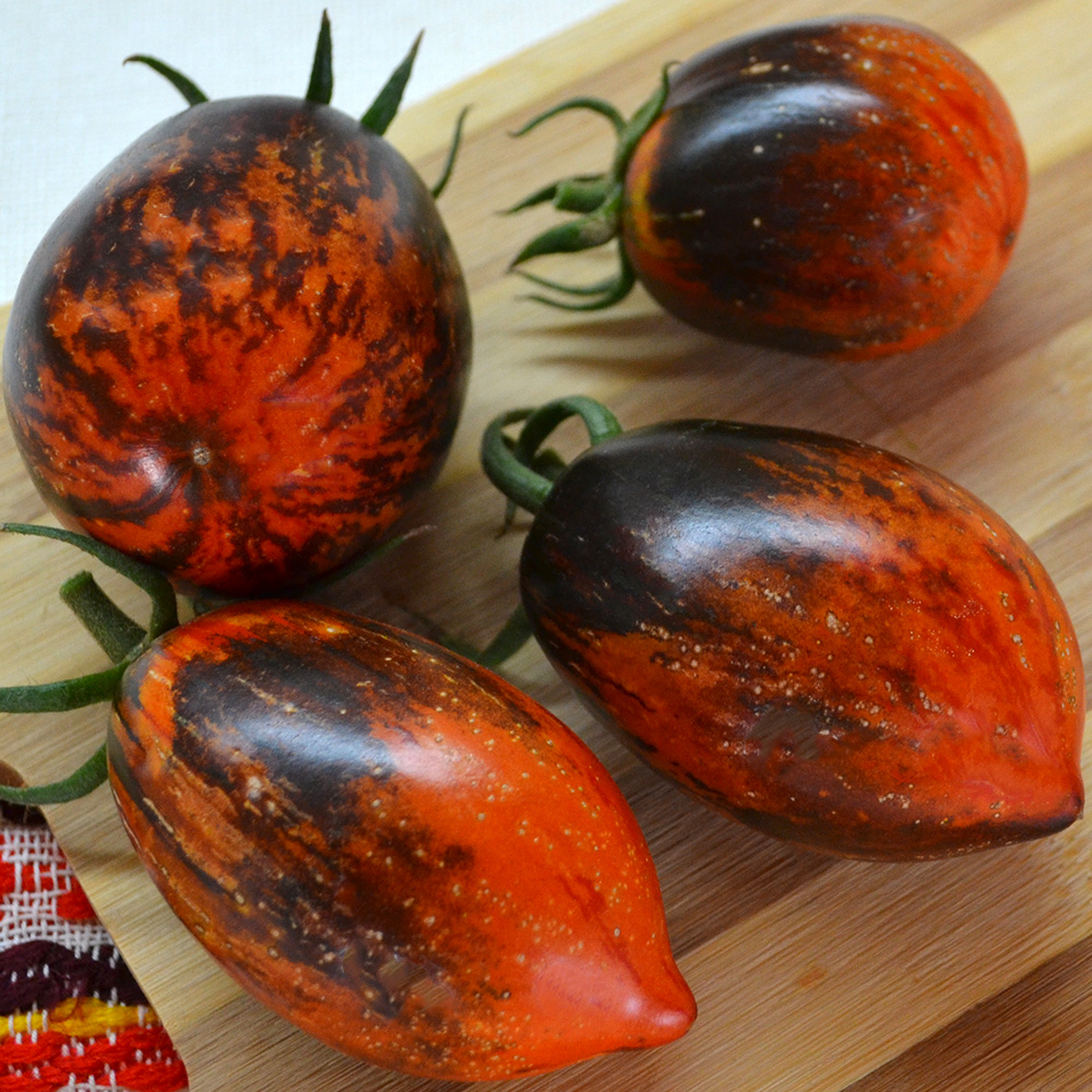 Семена коллекционного сорта томатов Гаргамель - очень красивый и потрясающе вкусный - фото Elya Garden
