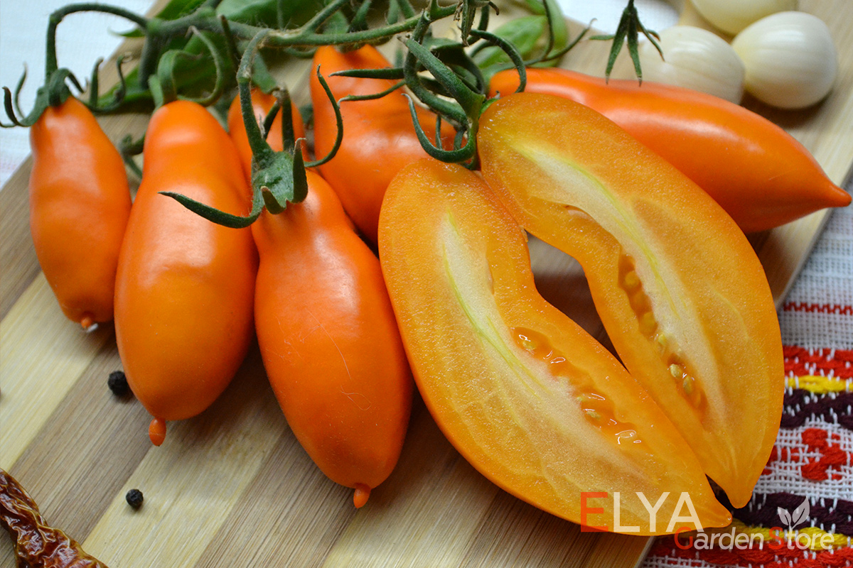 Томат Пальмира - урожайный и вкусный сорт. Семена в магазине Elya Garden - фото