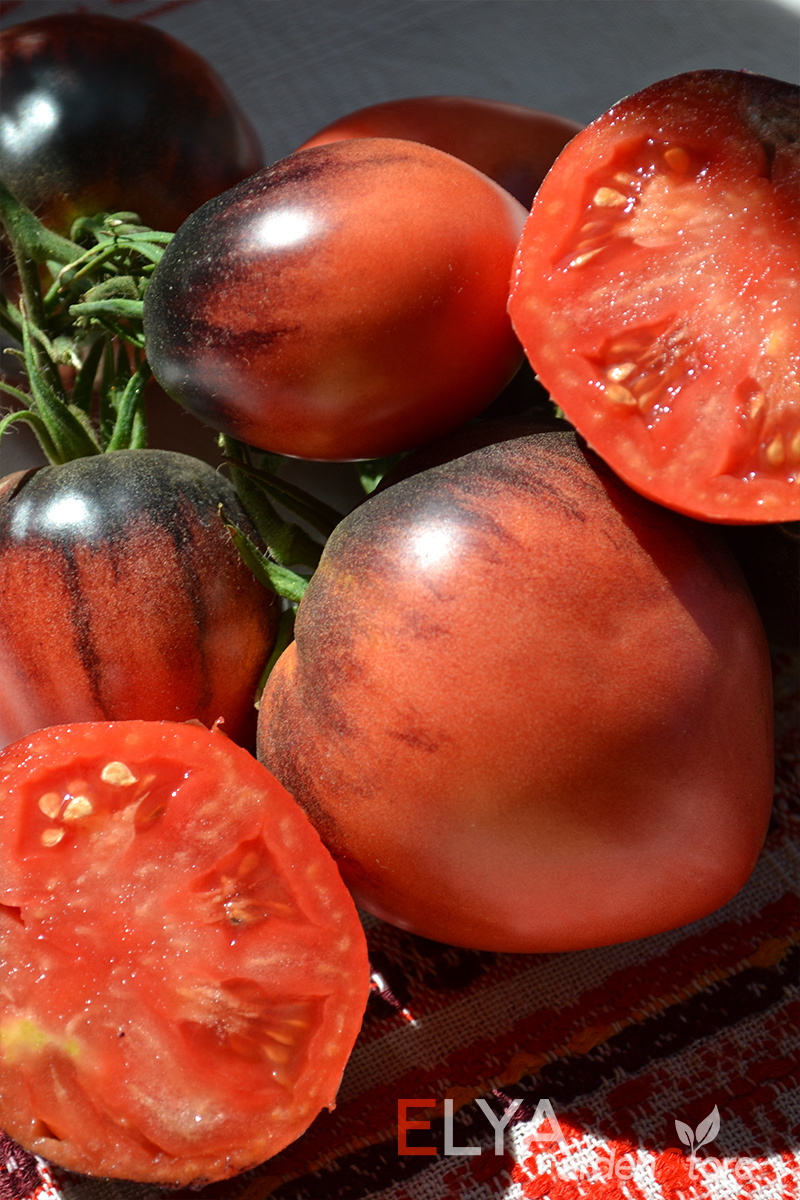 Семена томата Сержант Пеппер - великолепный коллекционный сорт с потрясающим карамельным сладким вкусом - фото Elya Garden