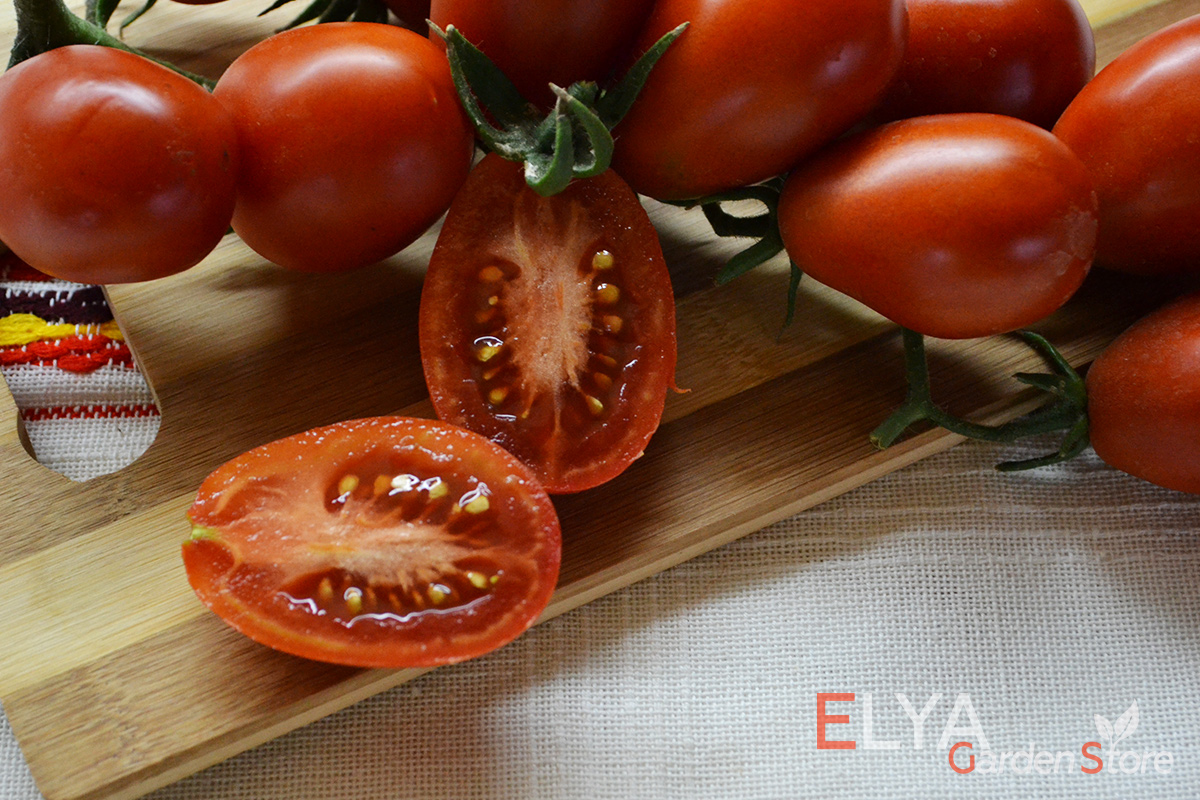 Семена томата Шоколадный Зайчик - великолепный коллекционный сорт, сочетающий высокую урожайность и приятный коктейльный вкус - фото магазина Elya Garden