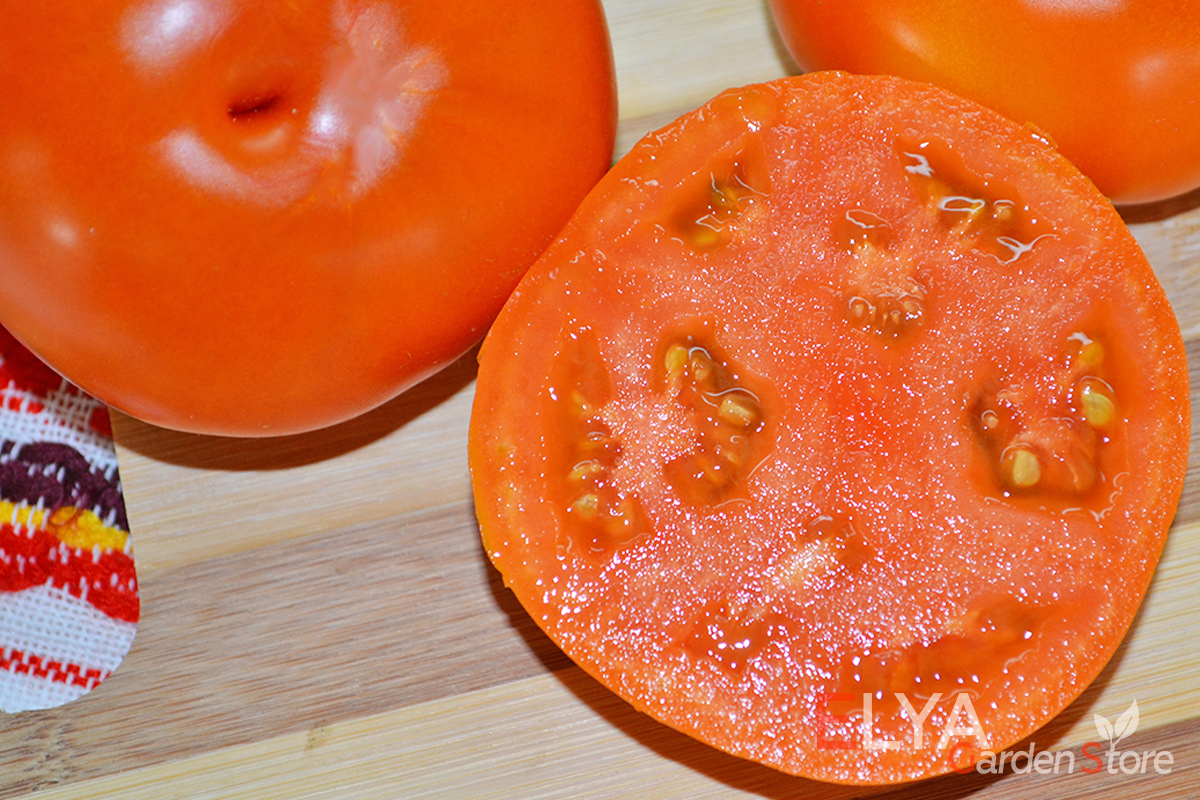Семена томата Хурма - коллекционный сорт. Урожайный, очень вкусный, отличная консистенция мякоти - фото Elya Garden