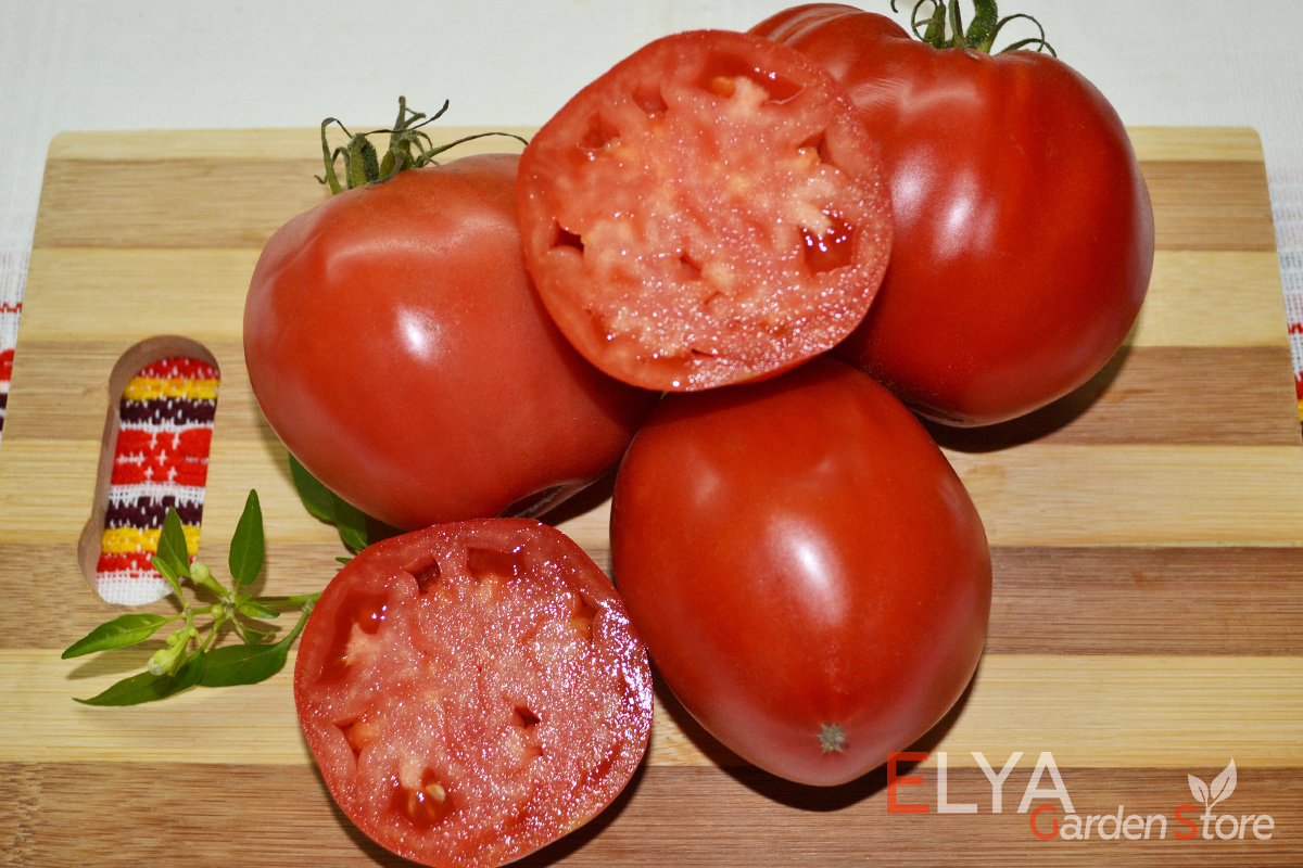 Семена томата Вова Путин - коллекционный сорт. Отличный томатный вкус и аромат, мясистый, неприхотливый - фото Elya Garden 