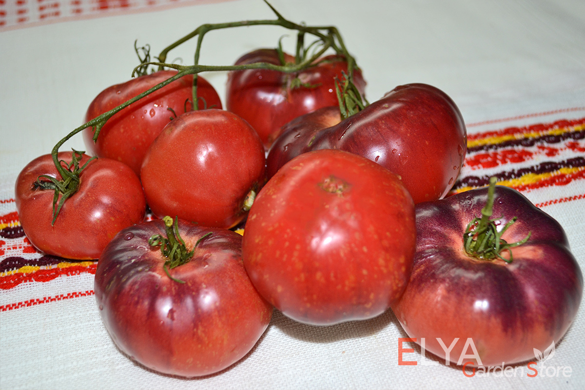 Семена томата Сибирский Тигр Розовый - красивый и очень вкусный коллекционный сорт - фото магазина Elya Garden