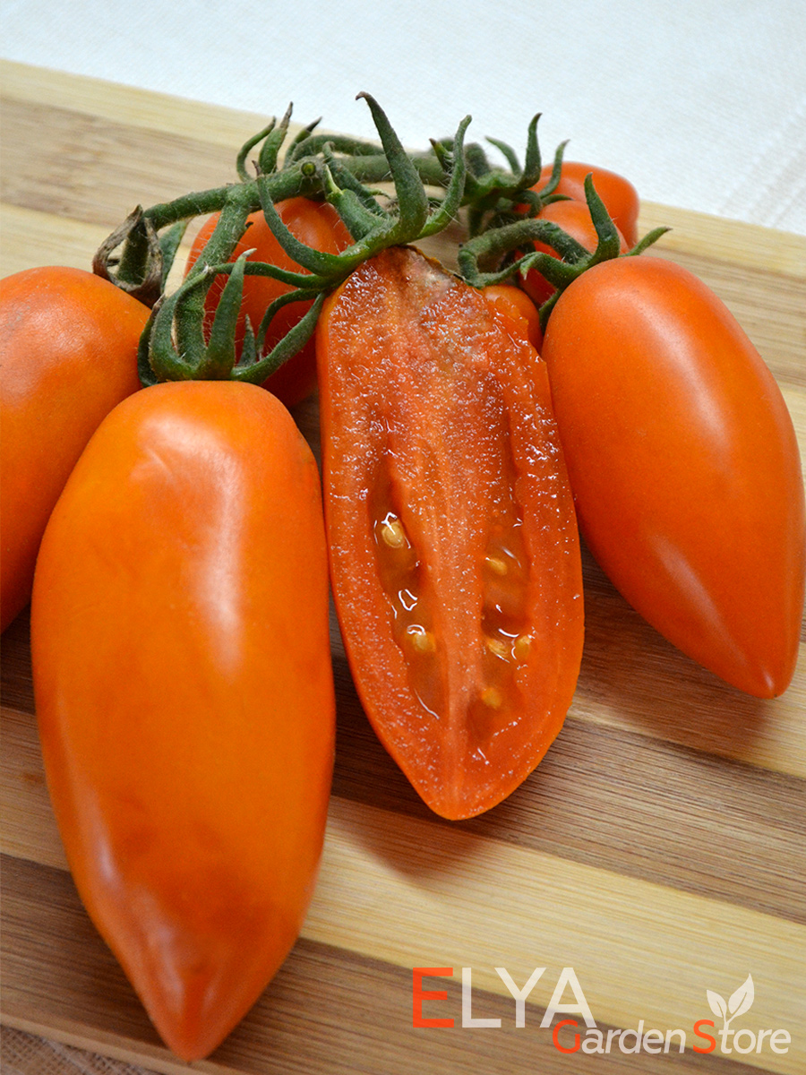 Томат Оранжевая Сосулька - коллекционный сорт, семена в магазине Elya Garden