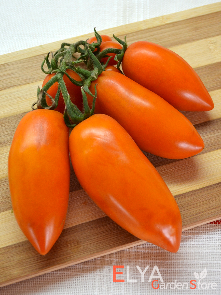 Томат Оранжевая Сосулька - красивый и урожайный коллекционный сорт. Семена свежего урожая в магазине Elya Garden 