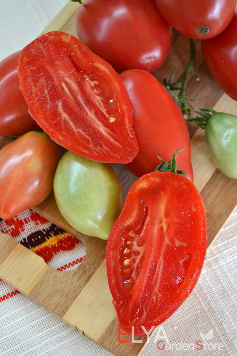 Семена томата Десперадо - сорт гном, потрясающе урожайный, неприхотливый, с насыщенным томатным вкусом - фото Elya Garden