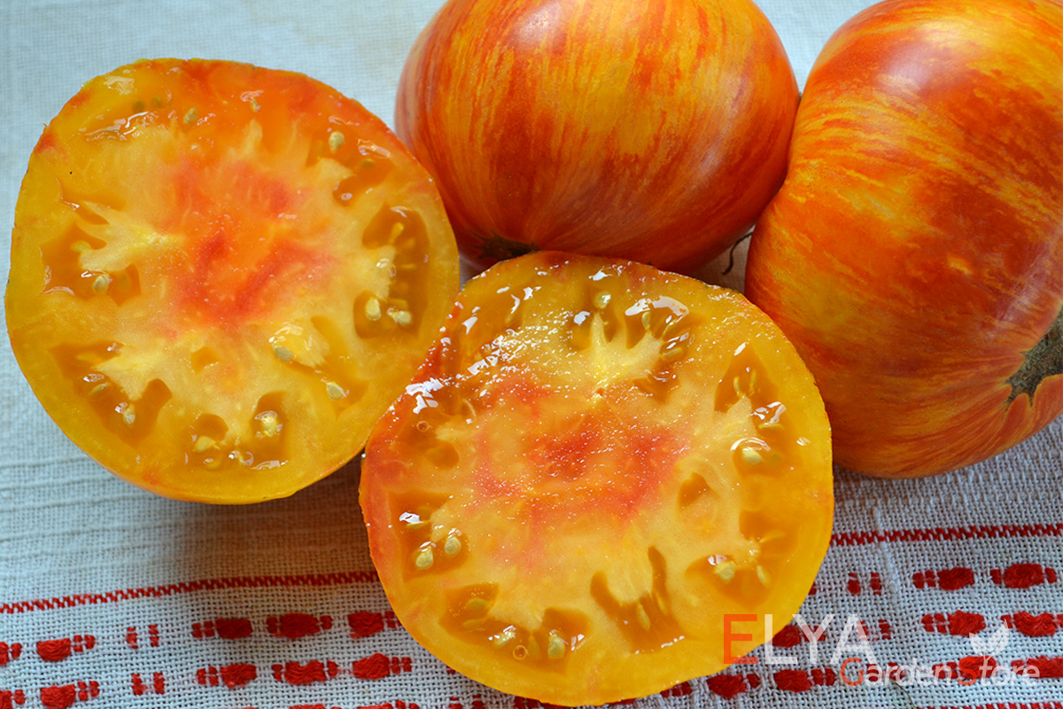 Семена томата Король Красоты - очень красивый коллекционный сорт с королевским сбалансированным вкусом - фото Elya Garden