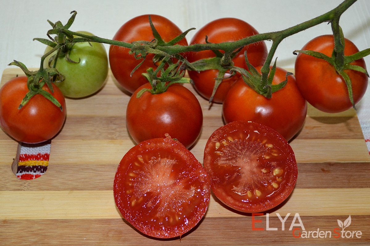 Семена томата Уникальный Кульчитского в магазине Elya Garden с бесплатной доставкой - отличный коллекционный сорт - фото