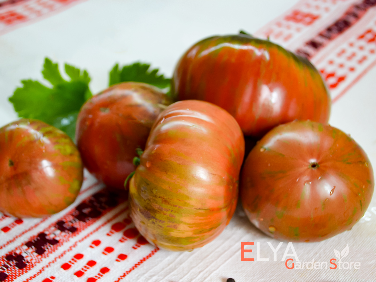 Семена коллекционного сорта томата Стринги (гном) в магазине Elya Garden