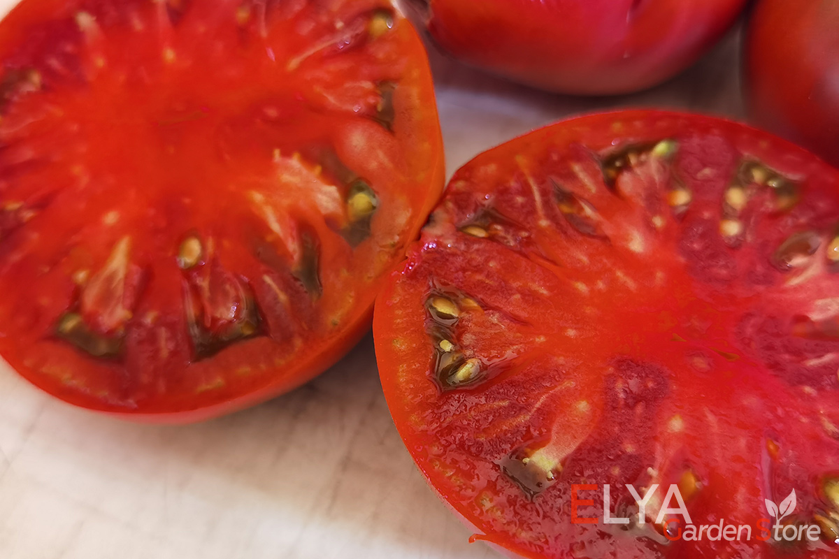 Коллекционный сорт томата Польские Ночи в магазине Elya Garden - вкусный и урожайный - фото 