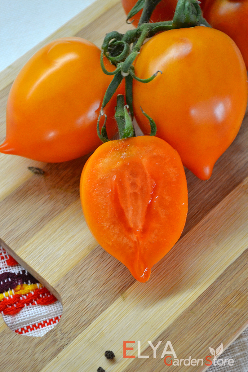 Семена томата Джокато - коллекционный сорт урожайный, с приятным сладким неприторным вкусом - фото Elya Garden
