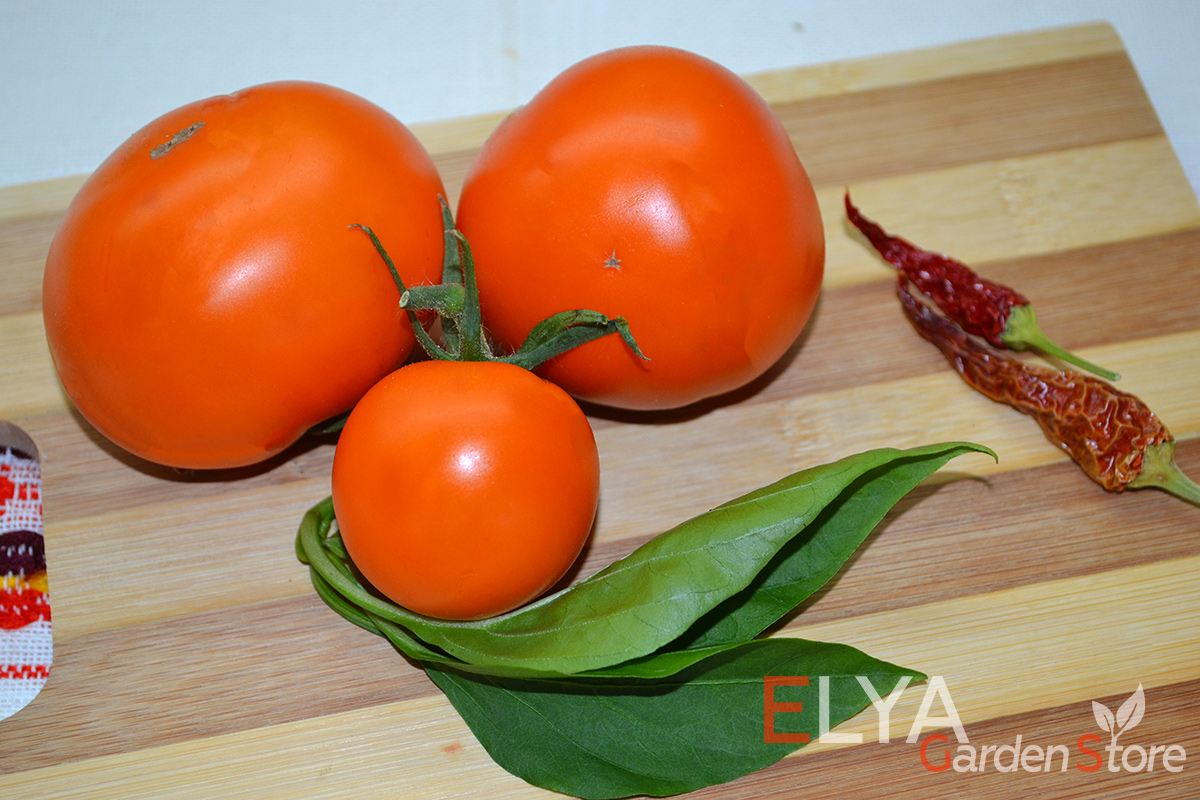 Томат Апельсин - яркий, сладкий и урожайный коллекционный сорт. Семена можно купить в магазине Elya Garden