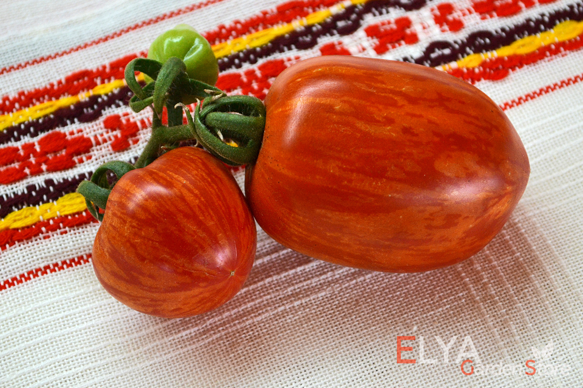 Семена томата Шиммейг Крег - коллекционный полосатый сорт с отличным сбалансированным вкусом - фото магазина Elya Garden
