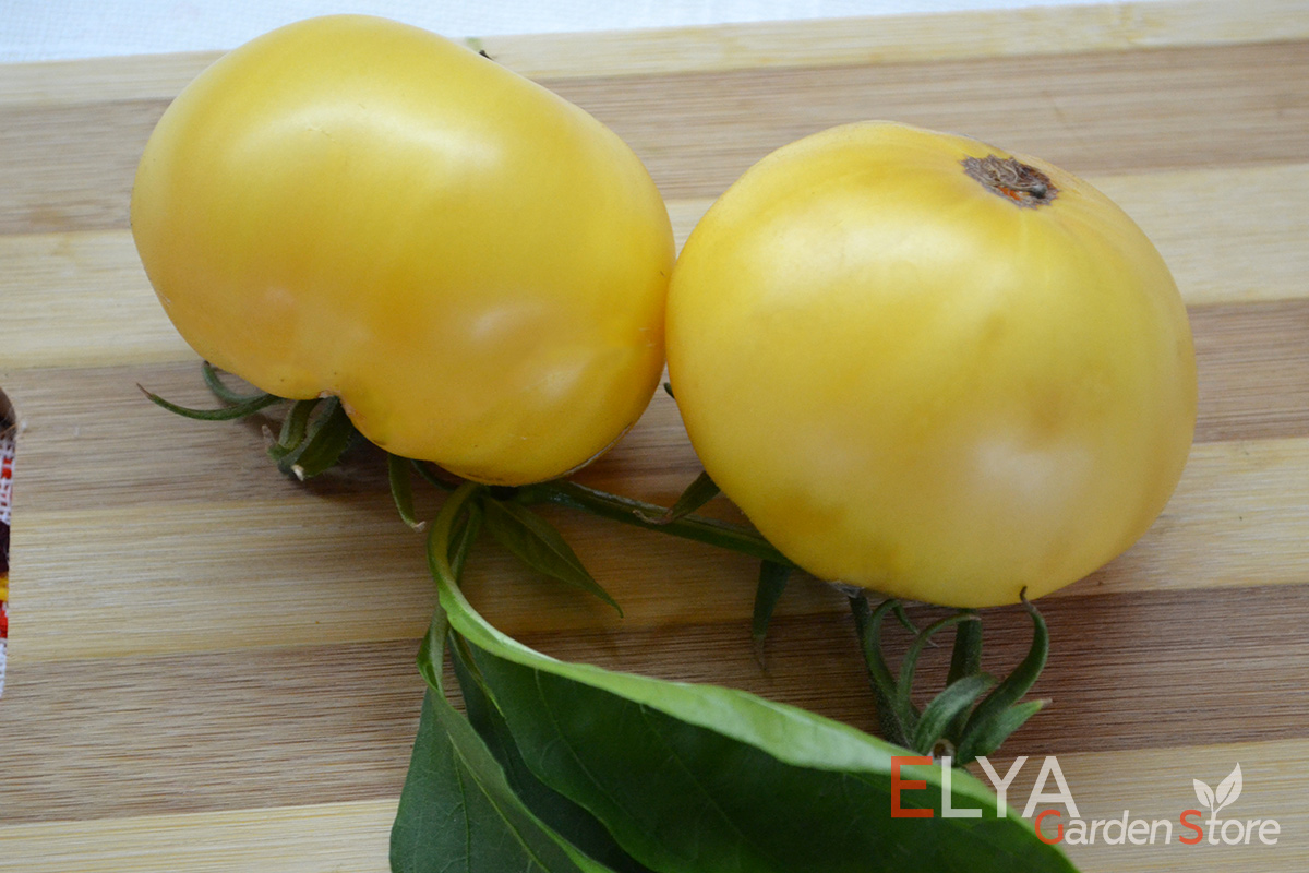 Семена томата  Даггин Белый в магазине Elya Garden/ Отличный коллекционный сорт, редкий, но очень вкусный - фото