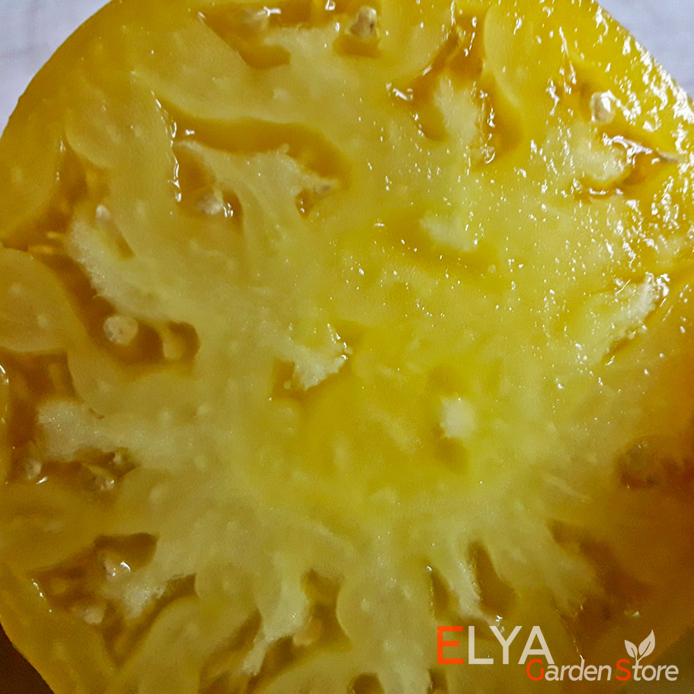 Семена томата Мятный - коллекционный сорт с освежающей ноткой настоящей мяты во вкусе - Elya Garden