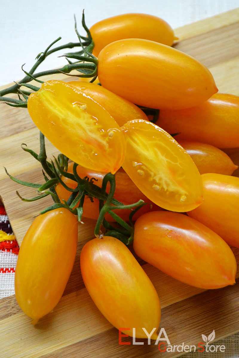 Томат Стыдливый Румянец - Blush от Remko - отличный коллекционный сорт, красивый и урожайный - семена в магазине Elya Garden