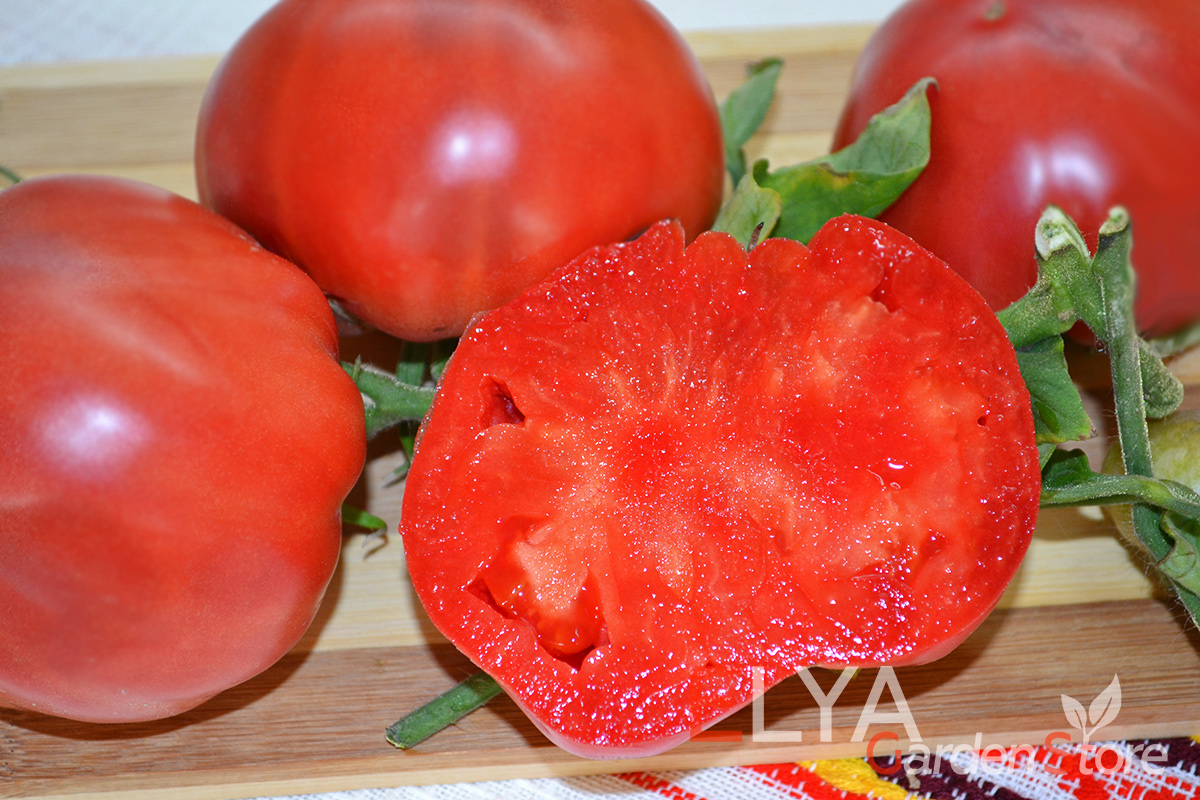 Семена томата Кристина Ватчева- великолепный коллекционный сорт из Болгарии - классический томатный вкус - фотография Elya Garden