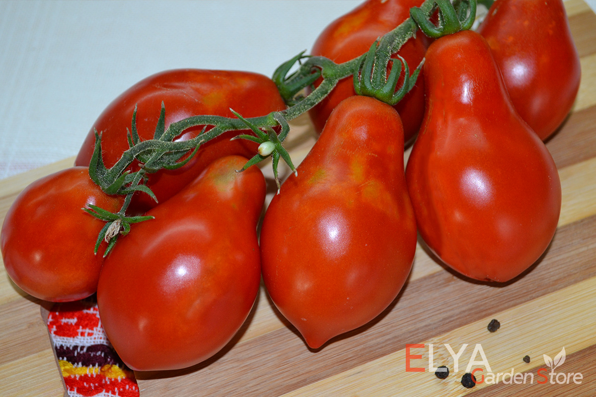 Семена коллекционного сорта томата Весенняя Капель - классический томатный вкус, неприхотливый - фото магазина Elya Garden