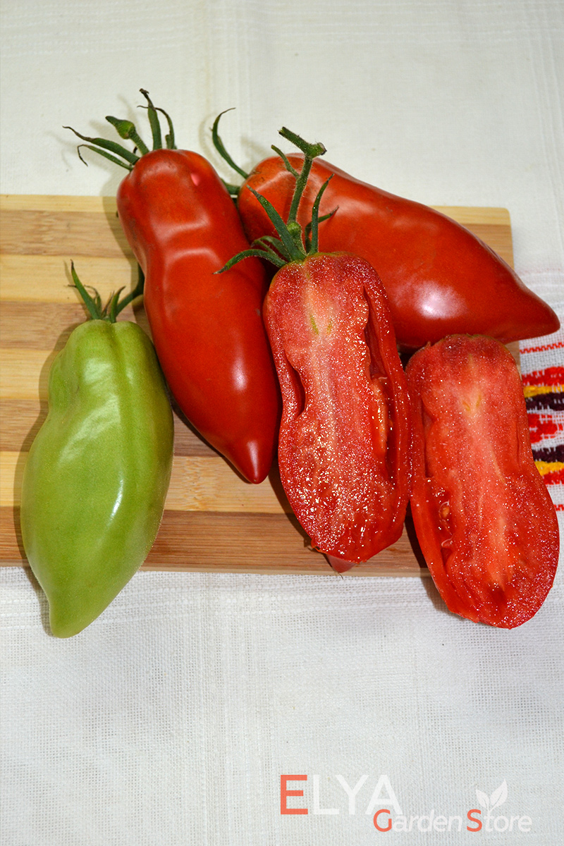 Семена томата Опалка - отличный коллекционный сорт с очень приятным и насыщенным вкусом и отличной консистенции мякоти - фото Elya Garden