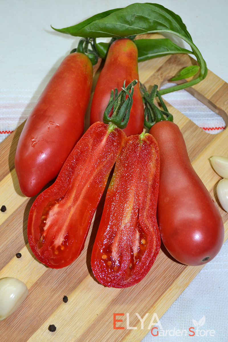 Семена томата Покоритель Неба - коллекционный лиановидный сорт в магазине Elya Garden 
