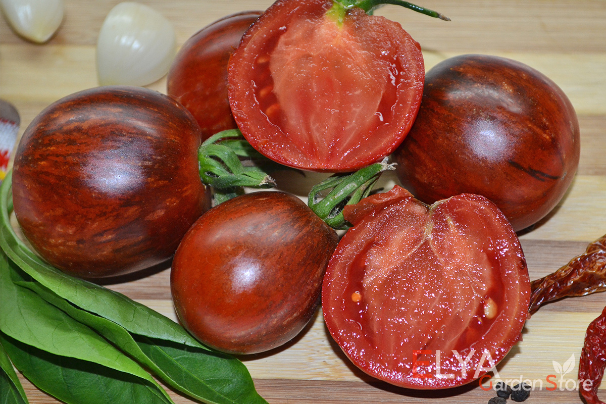 Семена томата Темный Тигр - очень вкусный коллекционный сорт с экзотичной окраской, урожайный - фото магазина Elya Garden
