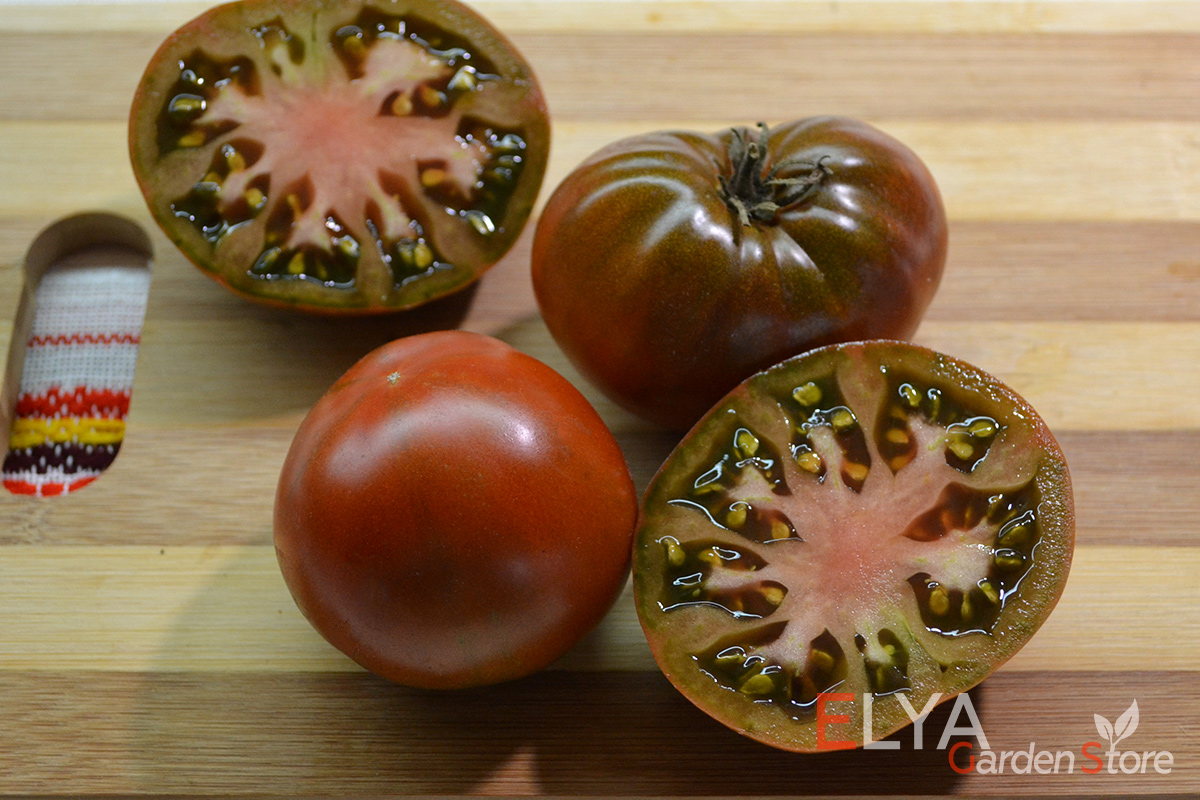 Семена томата Циндао - темноплодный коллекционный сорт, урожайный и запоминающимся ярким вкусом - фото магазина Elya Garden
