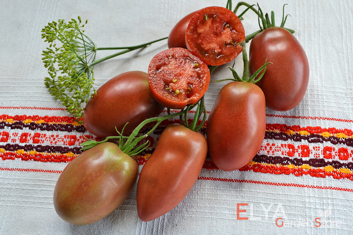 Семена томата Роксана - коллекционный сорт в магазине Elya Garden - фото