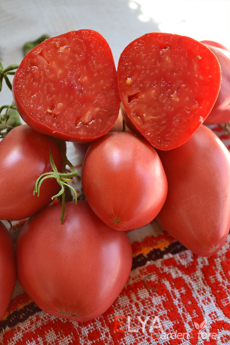 Семена томата Яйцо Быка с реки Гуадаррама - коллекционный сорт - настоящий томатный вкус - фото магазина Elya Garden